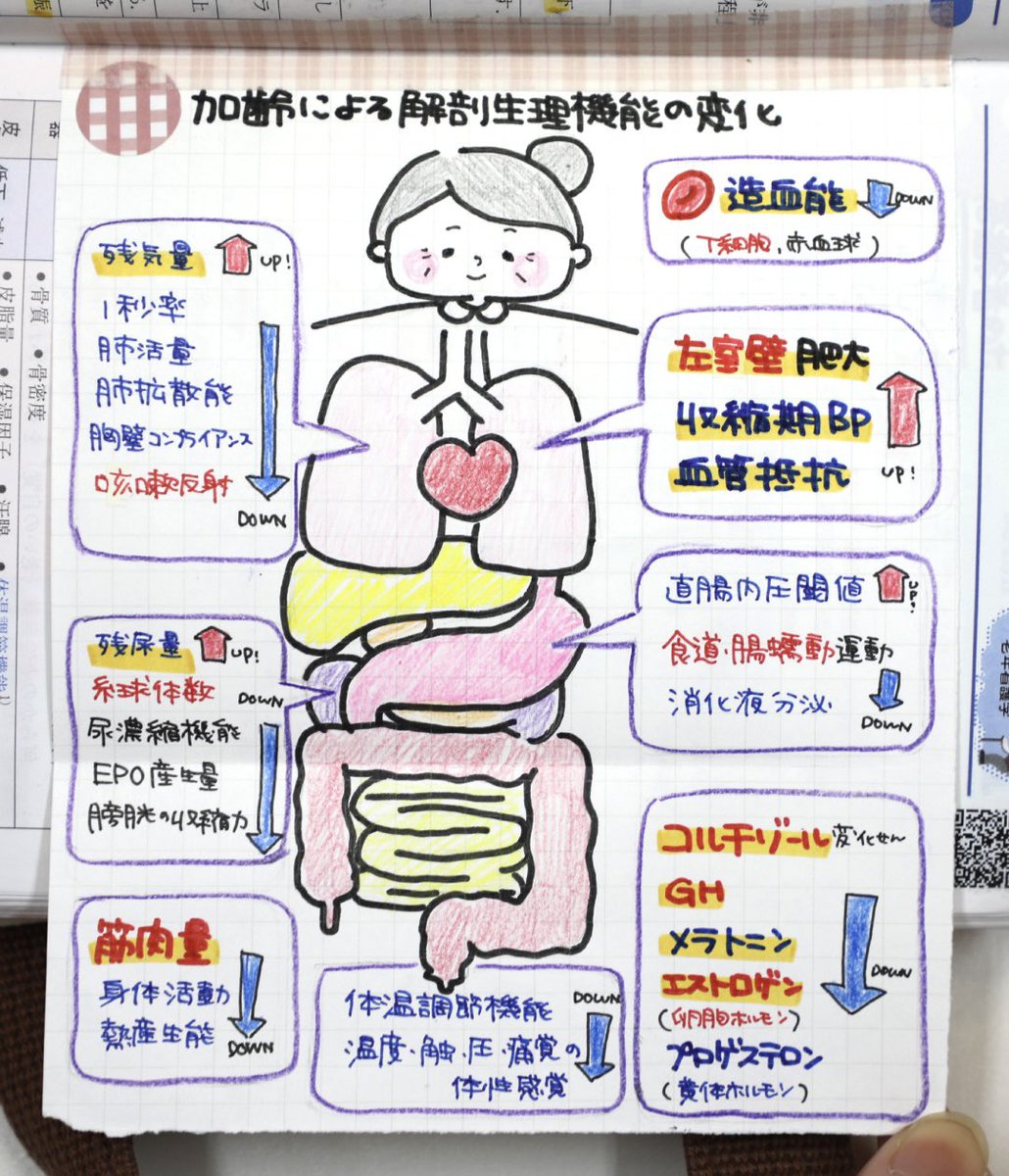 レビューブック