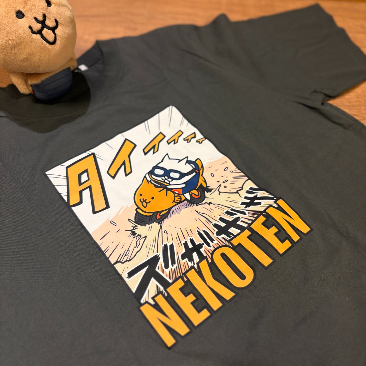 しおどみ (@nekonoewokaku) / Posts / X