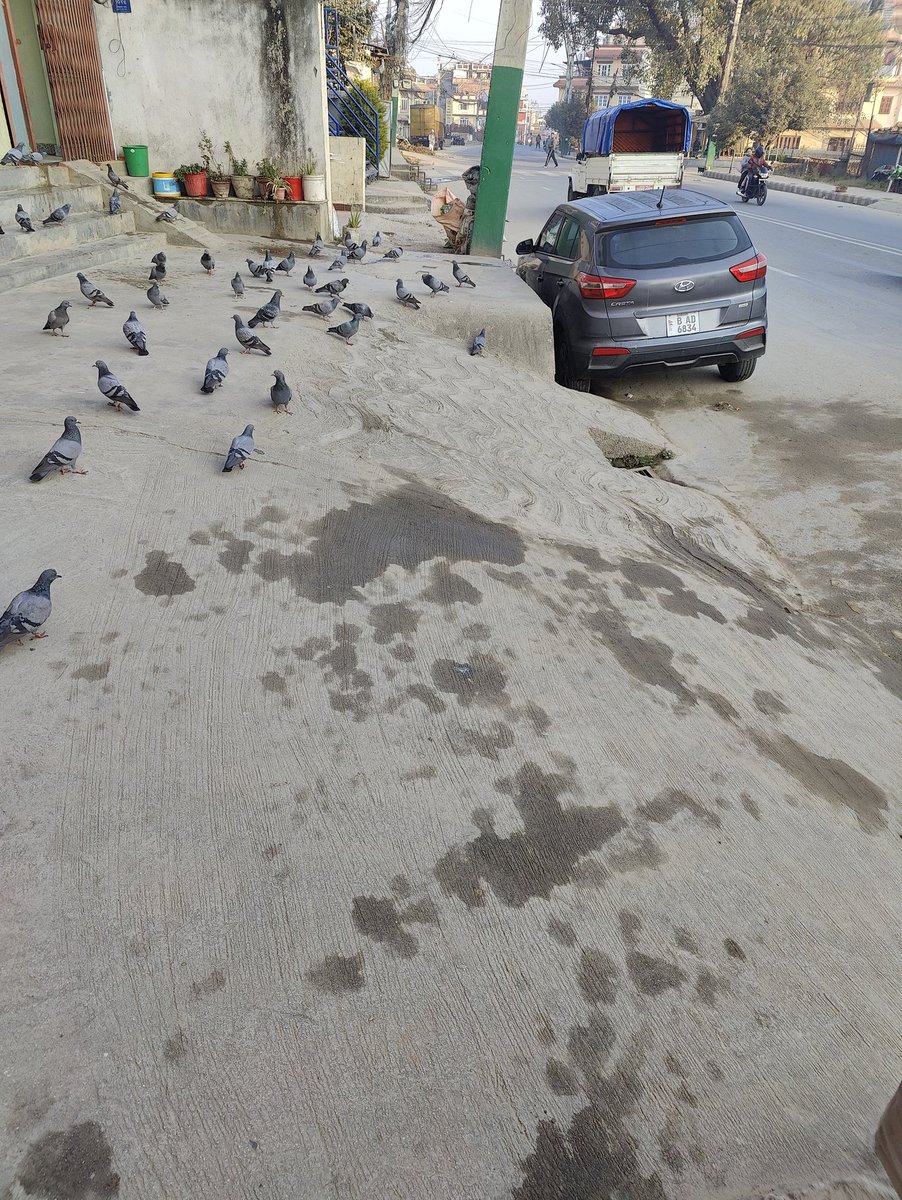 thektmduke's tweet image. Only in Nepal, the right of way of vehicles supersedes the right of way of pedestrians. And it simply gets overlooked; the more you move towards the sub-urbs. #WalkabaleCity