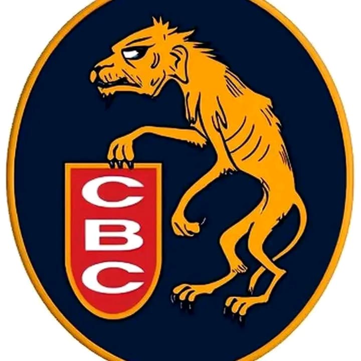 alexcastillorod's tweet image. Eliminados 🤣😂🤣😂🤣💀💀💀💀