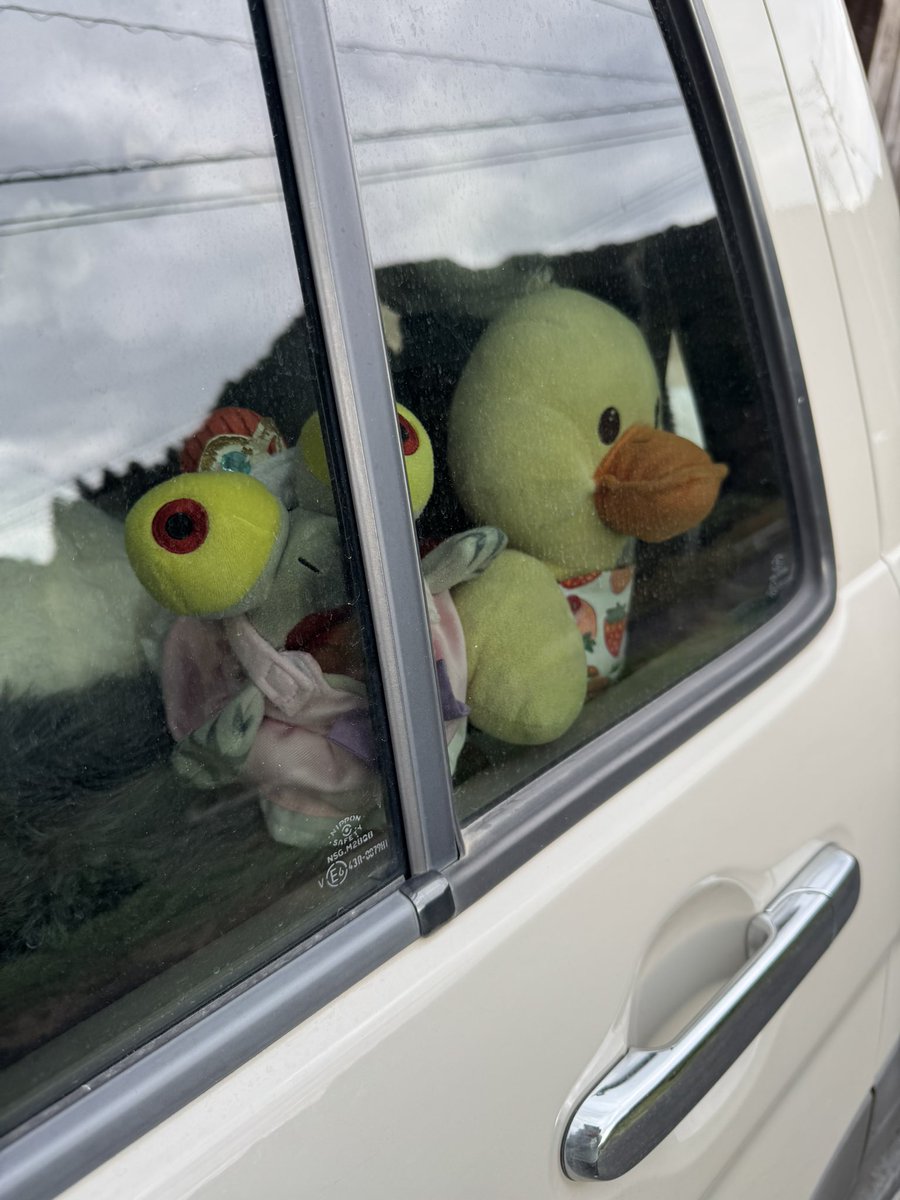 おこめつぶ様用 おこめつぶ (@BQx6DDsrtCKst3Z) / Posts / X