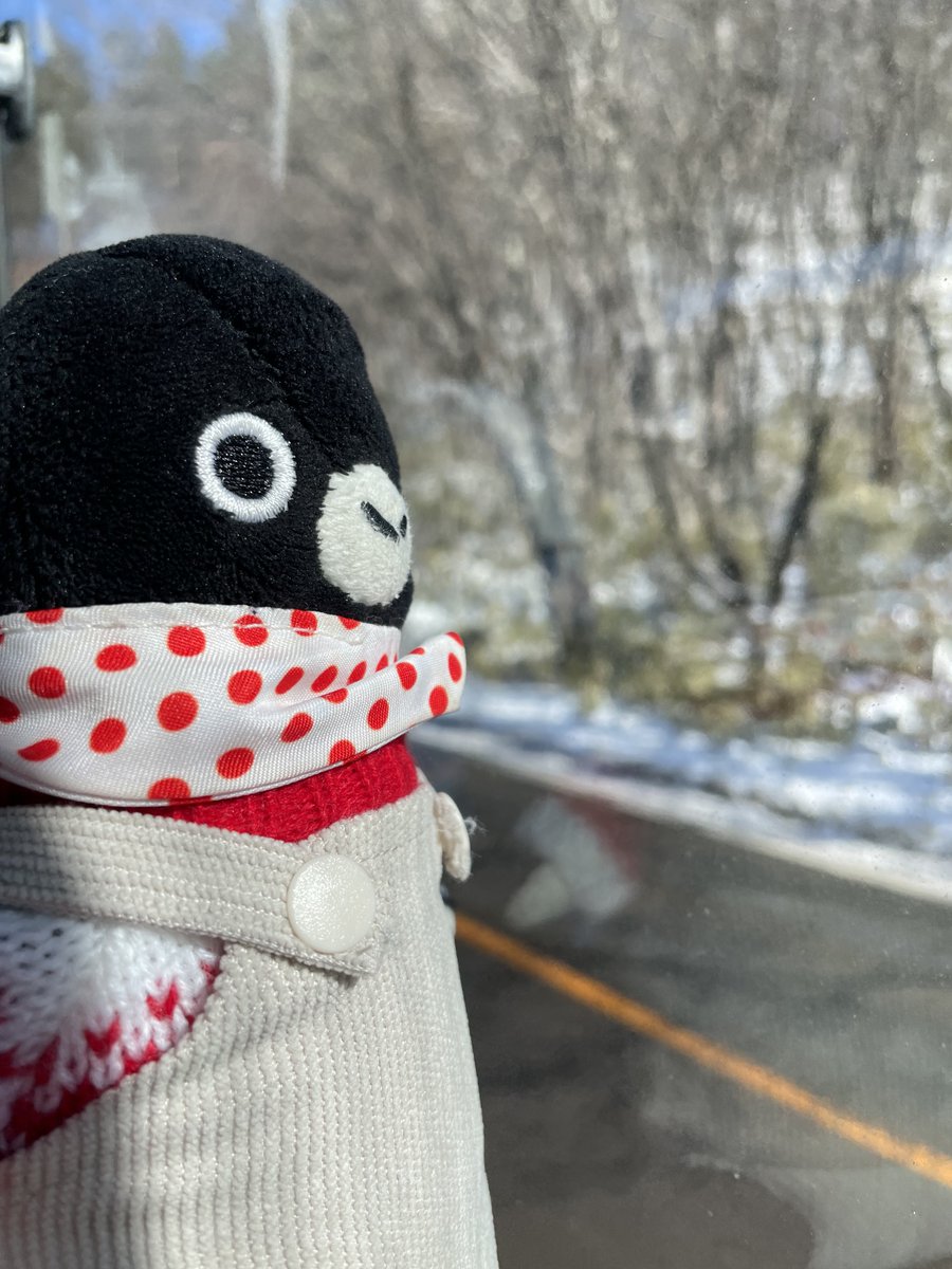 みなみ🐧📸ペンギン専用ATM (@pingu_0626) / Posts / X