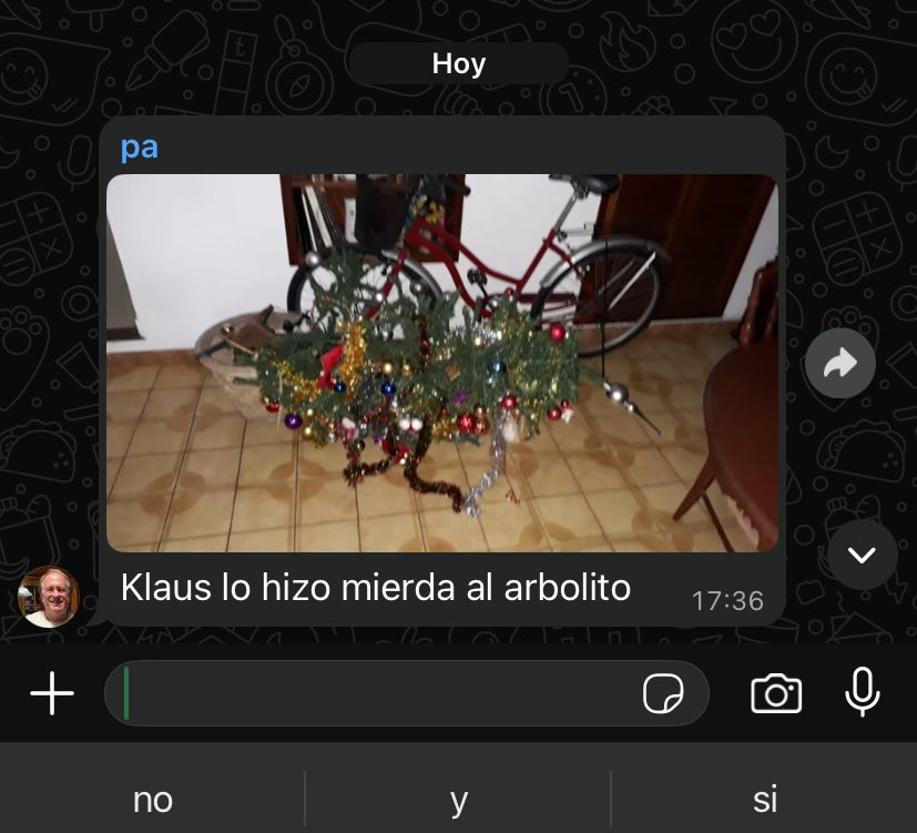 no armen arbolito si tienen un gato de 8 meses