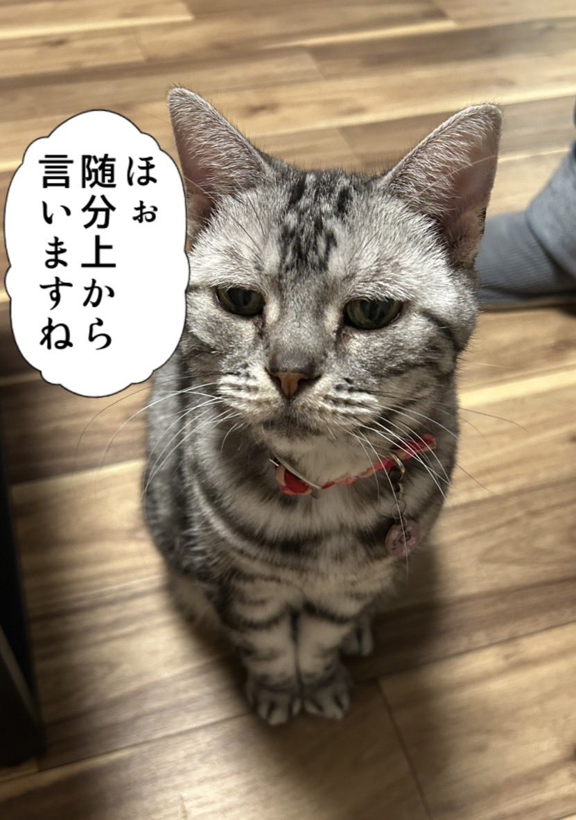 5番さん@モリーの評価者になりたいNIKKE指揮官 tweet media