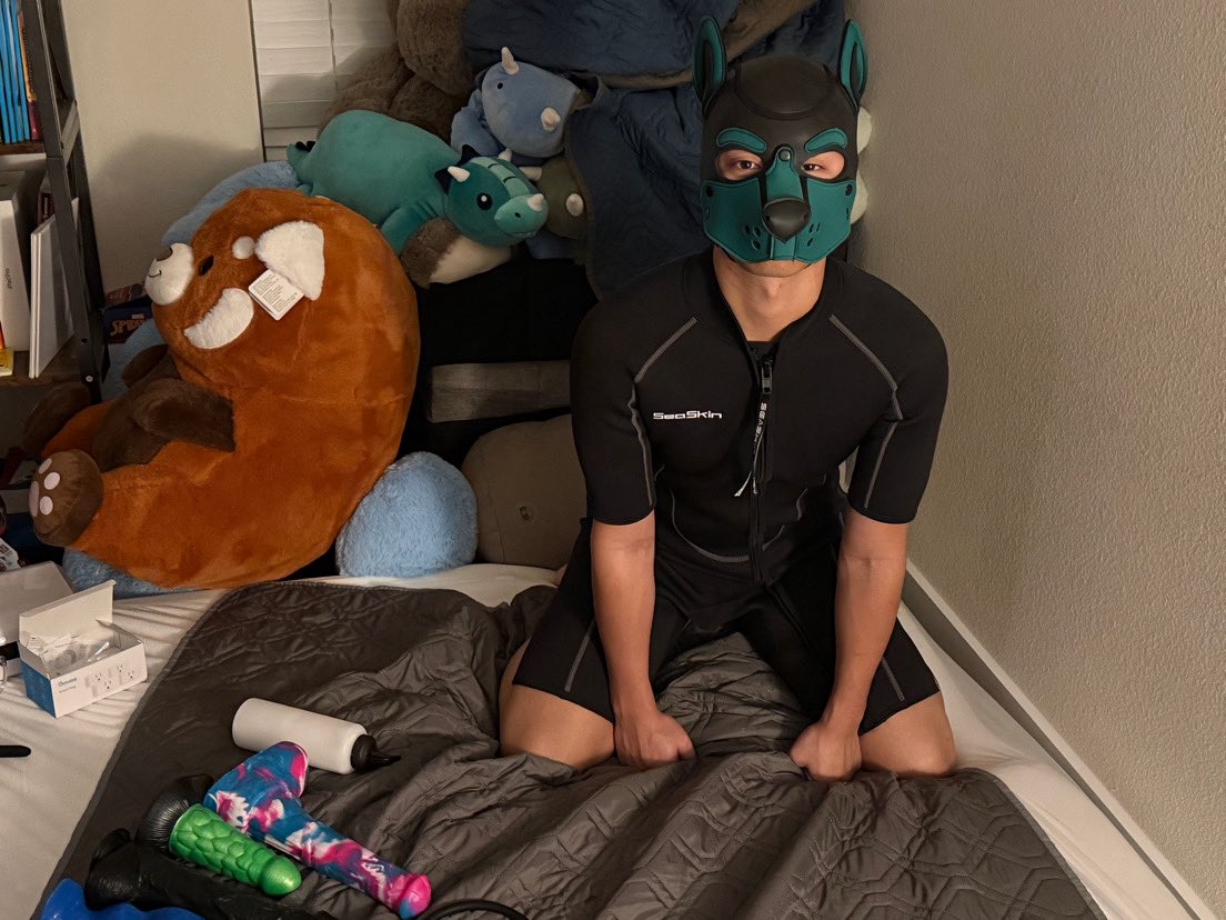 PupAnchor tweet media