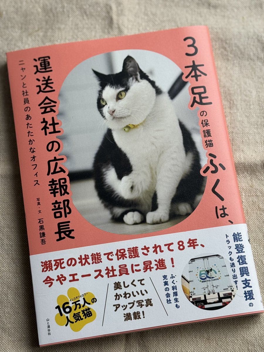 3本足の保護猫ふく😼広報部長 (@fuku_bucho_cat) / Posts / X