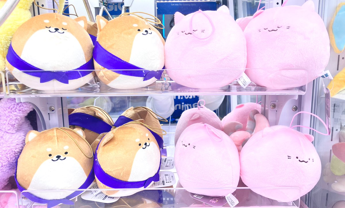 ✨景品情報✨】 ⭐︎ねこもどき プチマスコットぬいぐるみ〜GiGO