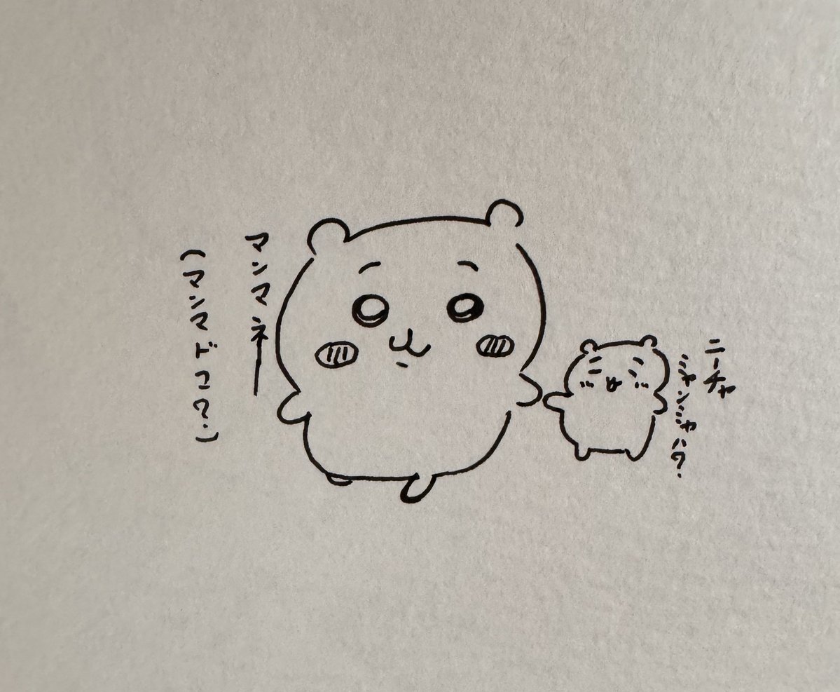 こけまる (@ti37564) / Posts / X