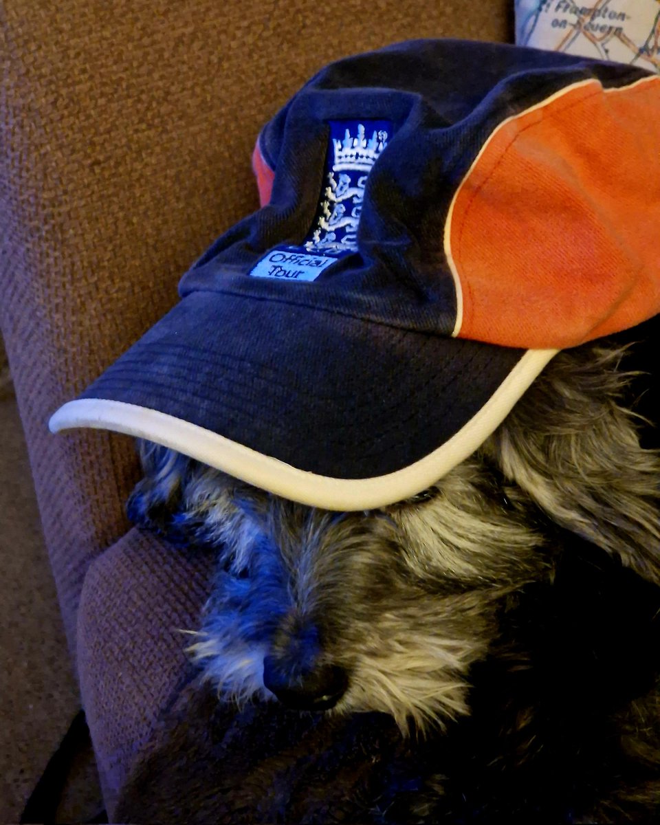 Straight-PR tweet media