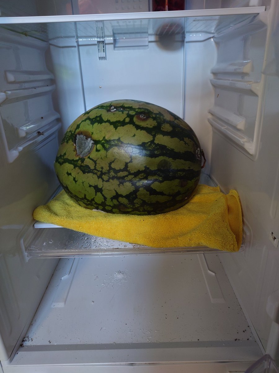 恐怖！持った瞬間に汁が漏れてくる5ヶ月前のスイカ！