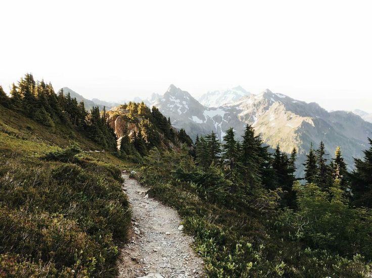 missdelicatie's tweet image. 