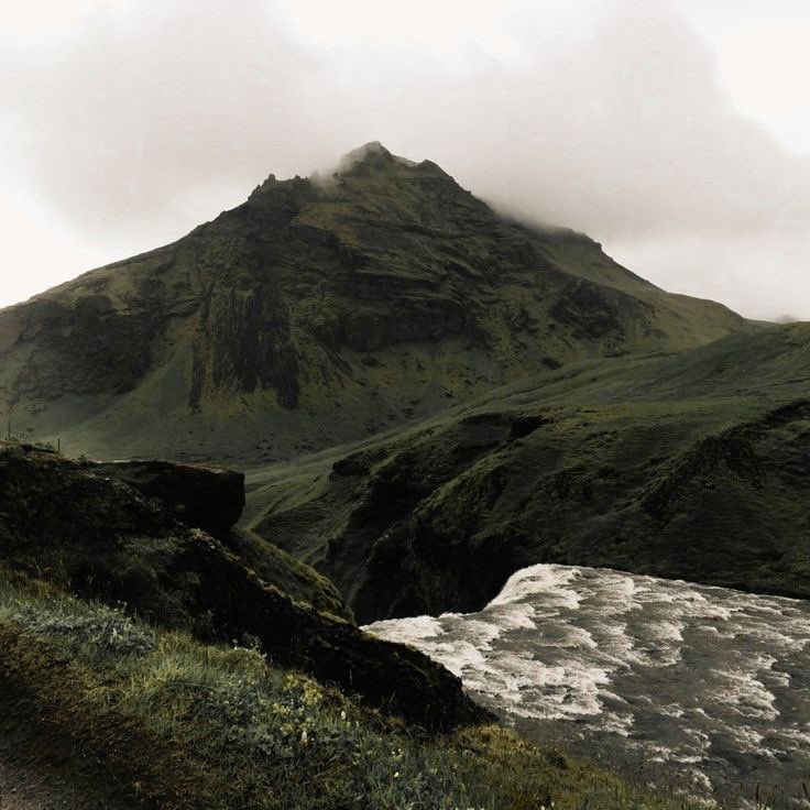 missdelicatie's tweet image. 