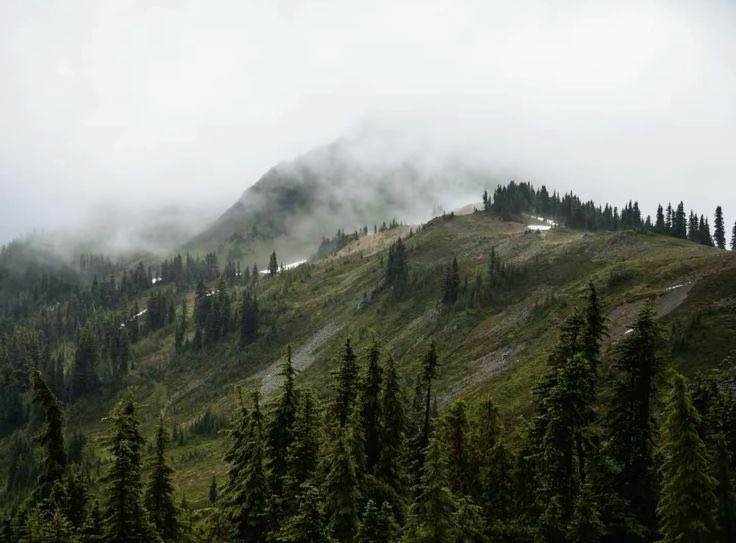 missdelicatie's tweet image. 