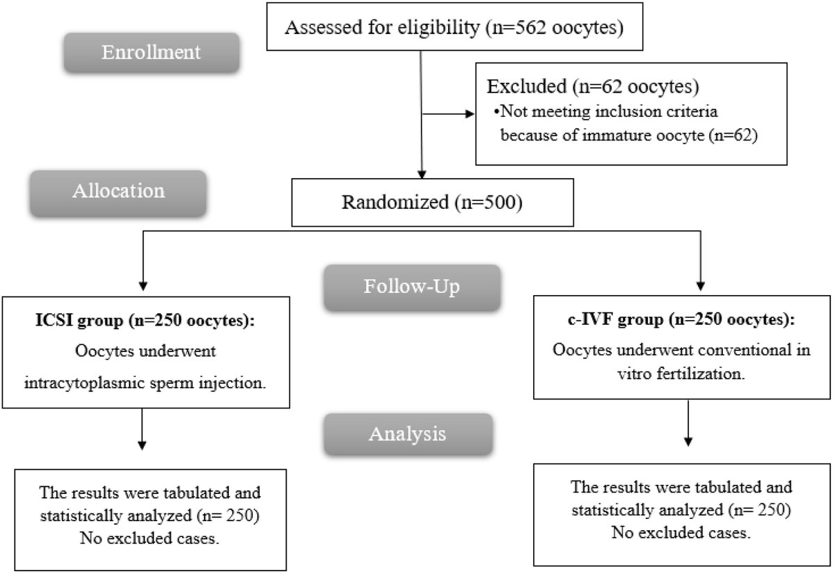 Journal of Clinical Gynecology and Obstetrics tweet media