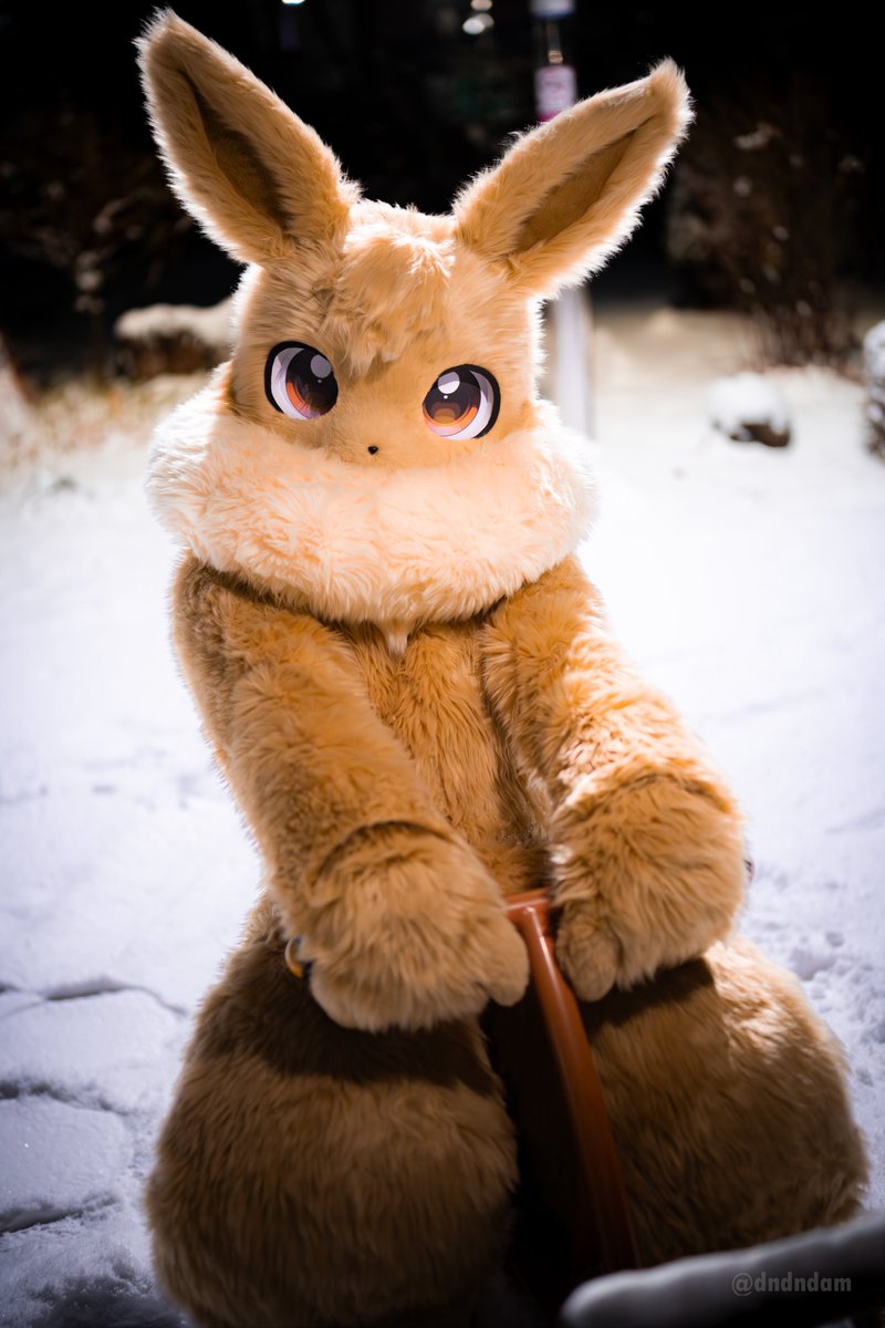 시소타는 이브이 처음봐...? 😋

#Fursuit #FursuitEveryday