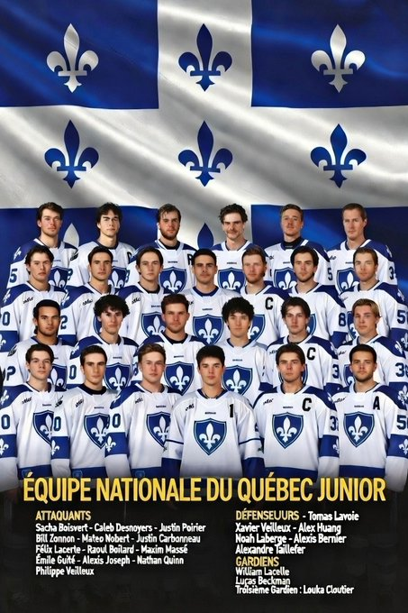 FondationEQc's tweet image. Desnoyers jouerait davantage avec une équipe nationale du Québec tout comme une vingtaine d'autre joueurs Québécois qui se developperaient en jouant contre les meilleurs au monde!

@NCloutierTVA 🎯