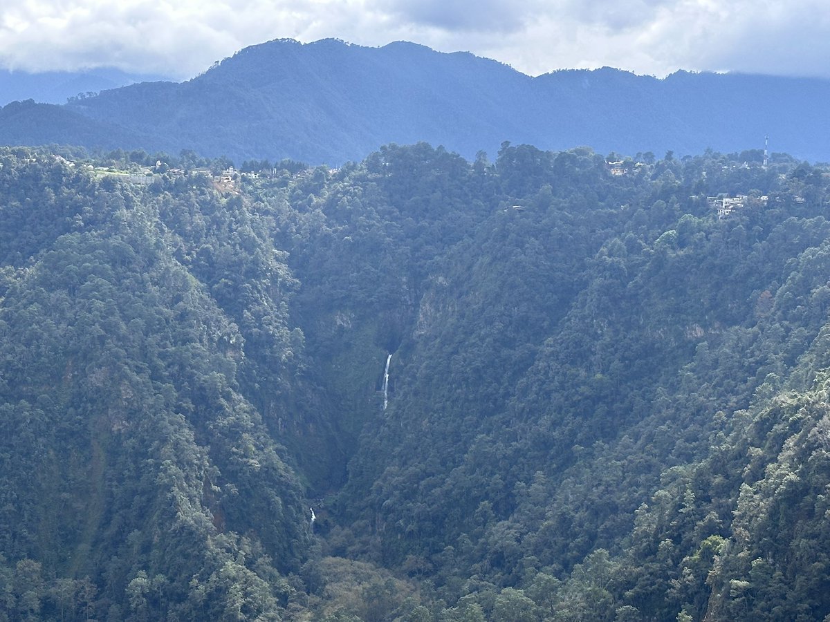 Rick 🇲🇽 tweet media