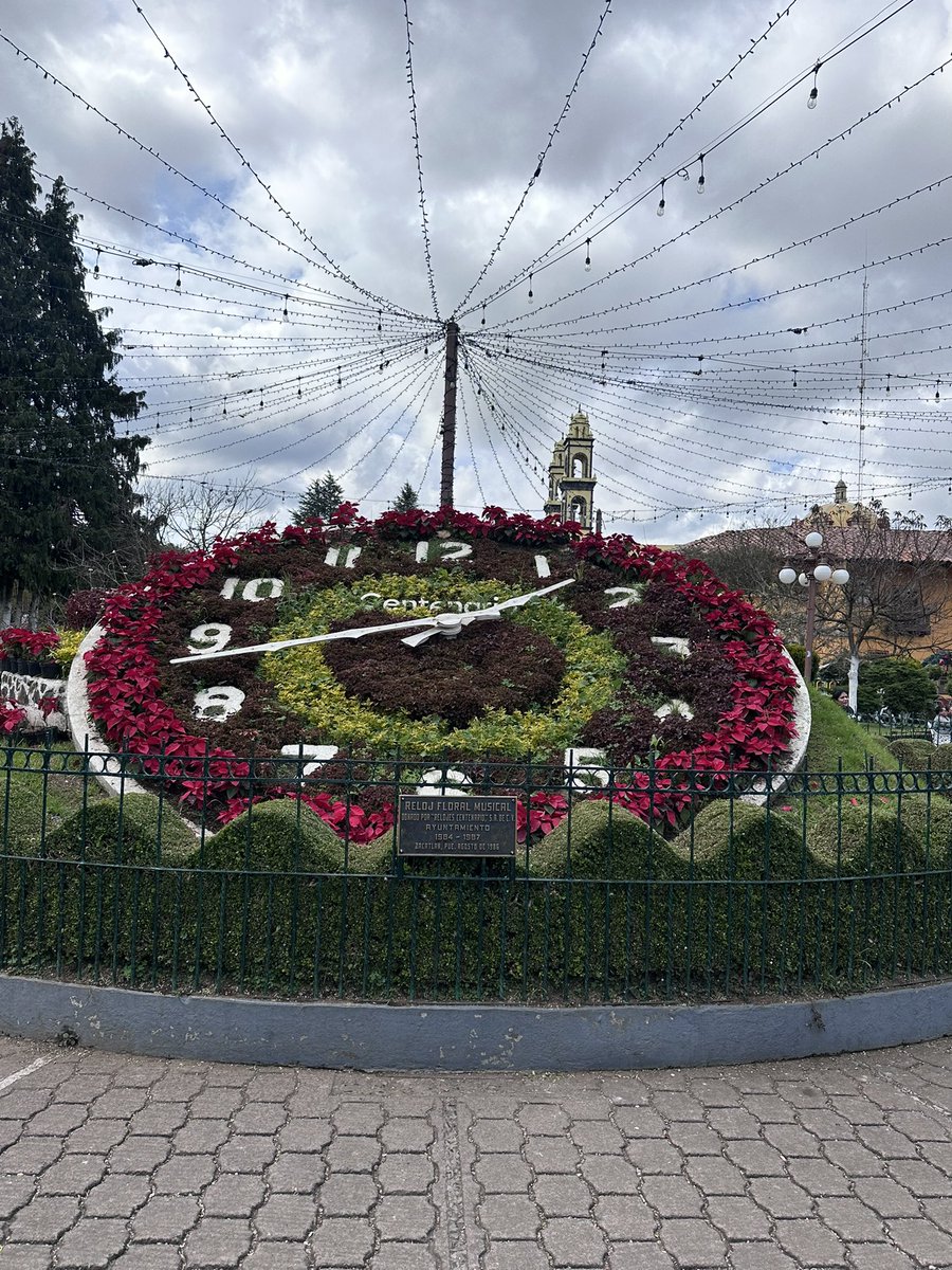 Rick 🇲🇽 tweet media