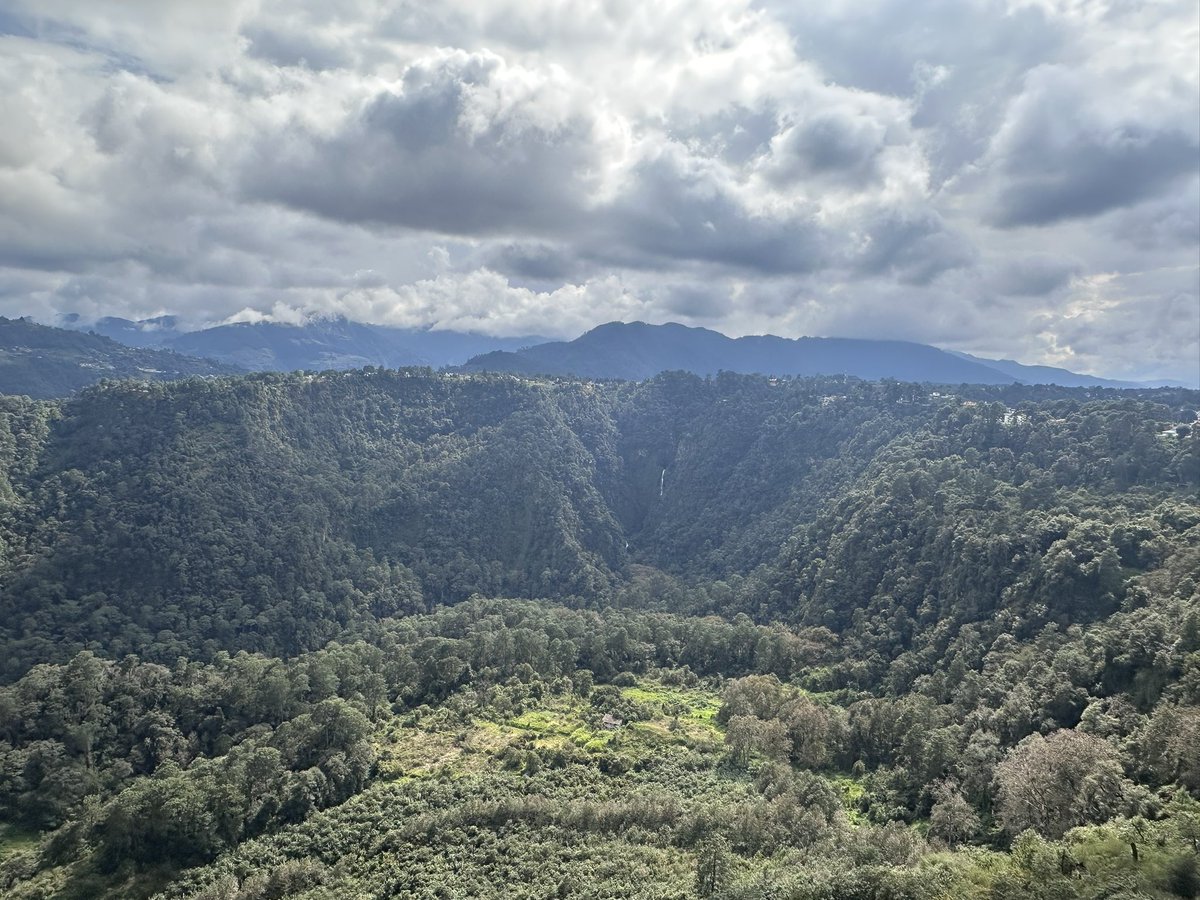 Rick 🇲🇽 tweet media