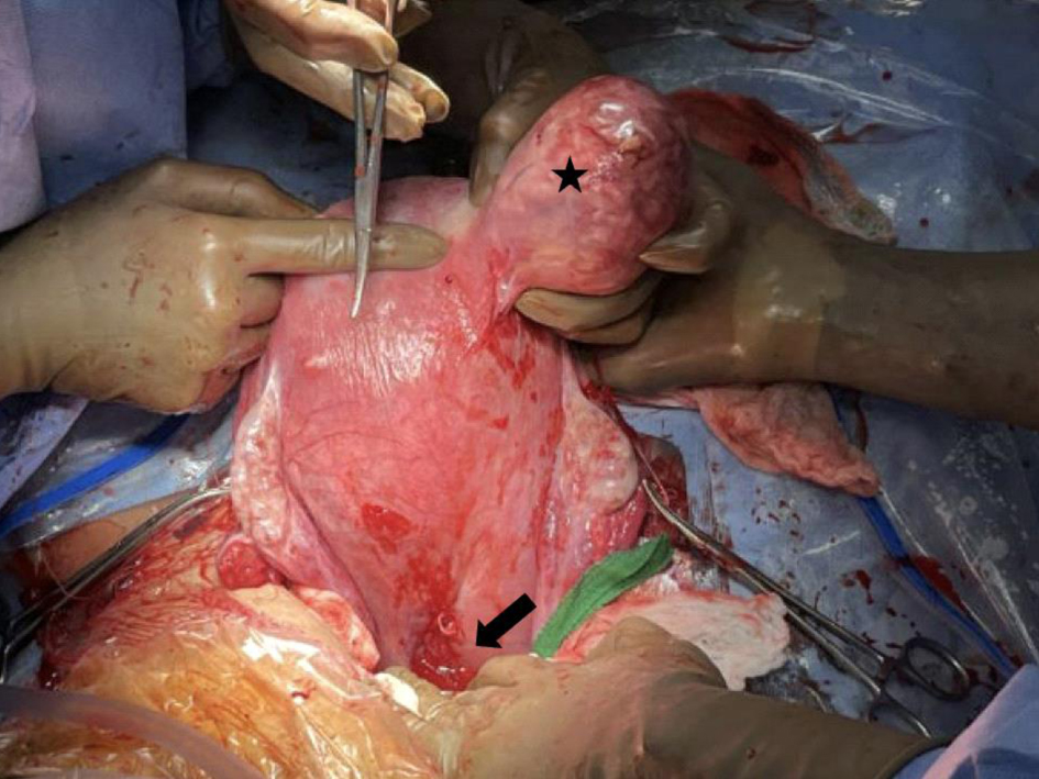 Journal of Clinical Gynecology and Obstetrics tweet media