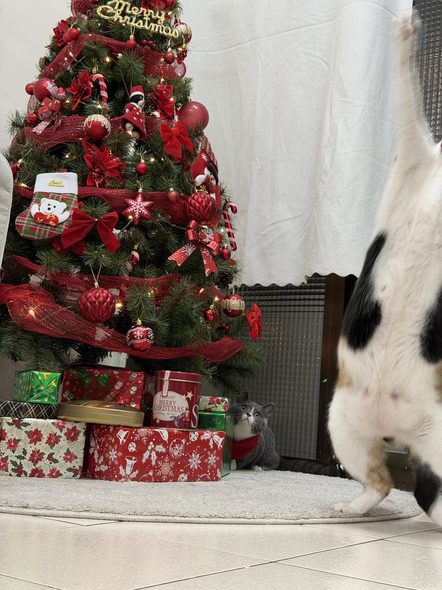 ผลัดกันงง