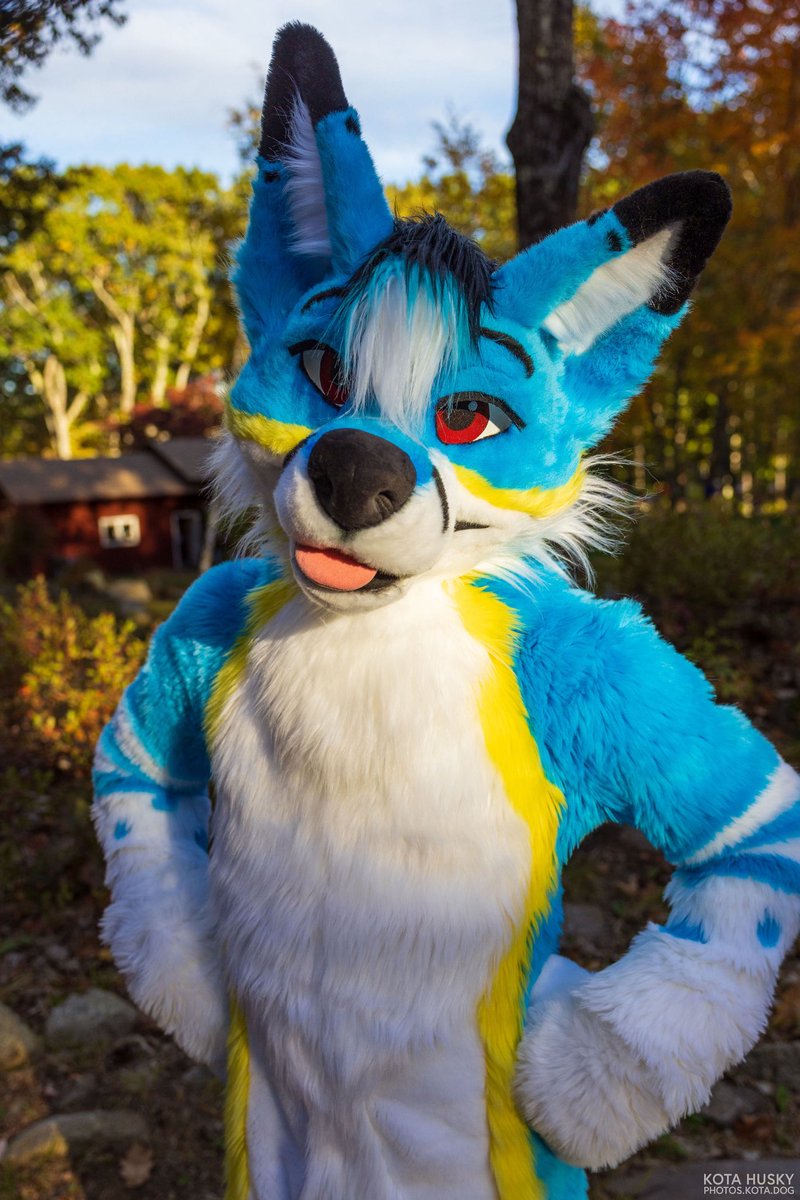 trombone fox! 🔜 FCL tweet media