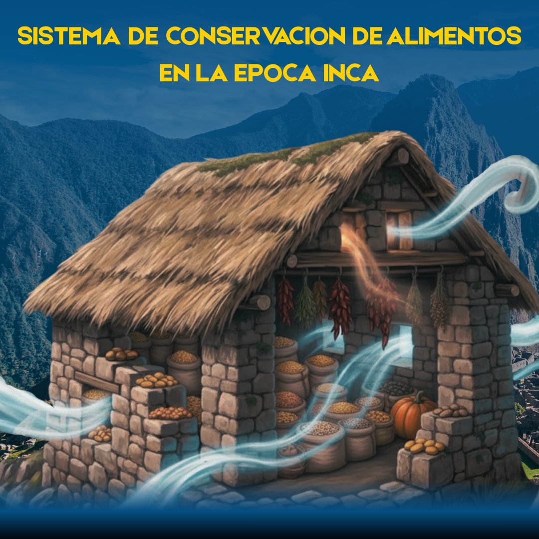 aremikatravel's tweet image. Los incas dominaron la conservación de alimentos sin electricidad ni tecnología moderna.
Las colcas usaban el frío andino, el viento y la arquitectura para preservar papas, maíz y quinua por años.
aremikatravel.com/sistema-de-alm…
🇵🇪✨ #HistoriaInca #IngenieríaInca #Colcas #Cusco #Perú