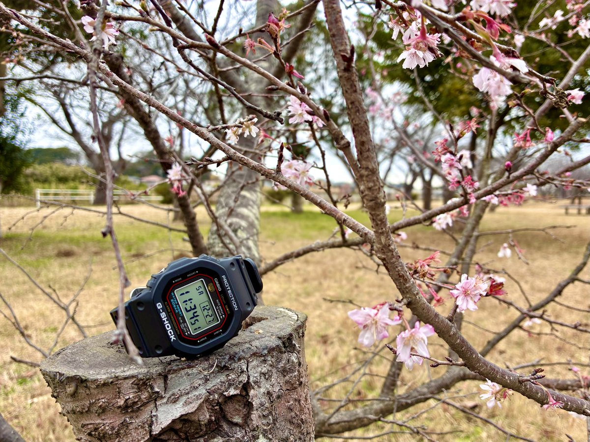 dw5000r's tweet photo. 昨日で無事に仕事納め。軽くジョギングしてからの散歩。そして年始のパンダ抽選はハズレ(ToT)
が明日の分は当選しているので久々に上野動物園へ出撃予定〜♫
#GSHOCK https://t.co/P1kFYYVmoP