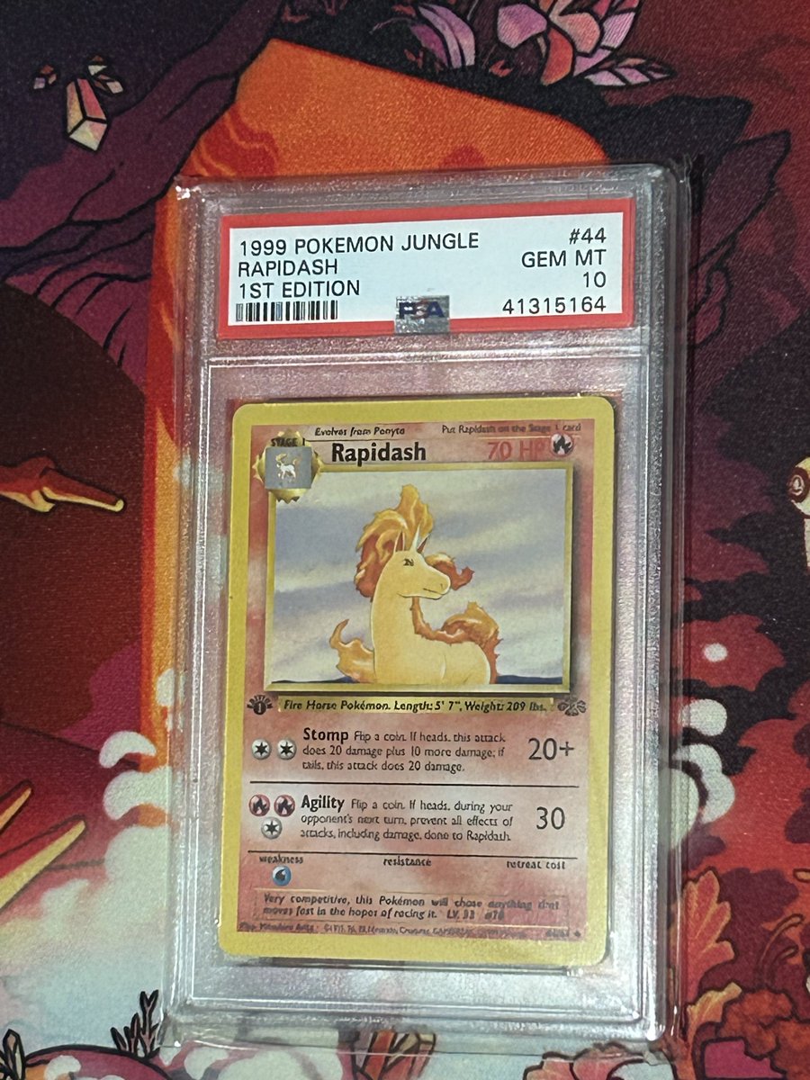 Rapidash Ruler tweet media