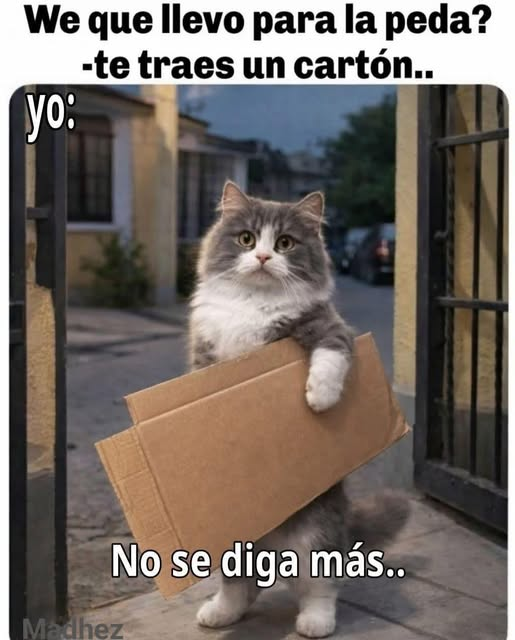 Chistes Random Chistes I Memes Spanish Memes. Memes En Español. Chistes En Español.