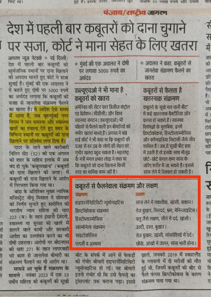 कबूतरों से फैलने वाले संक्रमण के कारण कबूतरों को दाना चुगाने पर सजा
कबूतरों की बीट से फैलती फेफड़ों से संबंधित कई बिमारियां 
#infection #pegion #healthtips #HealthAlert