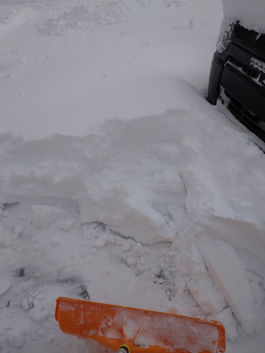 しのぶ 1/18【Elysian46】B15 (@Shinobu_FF14) / Posts / X