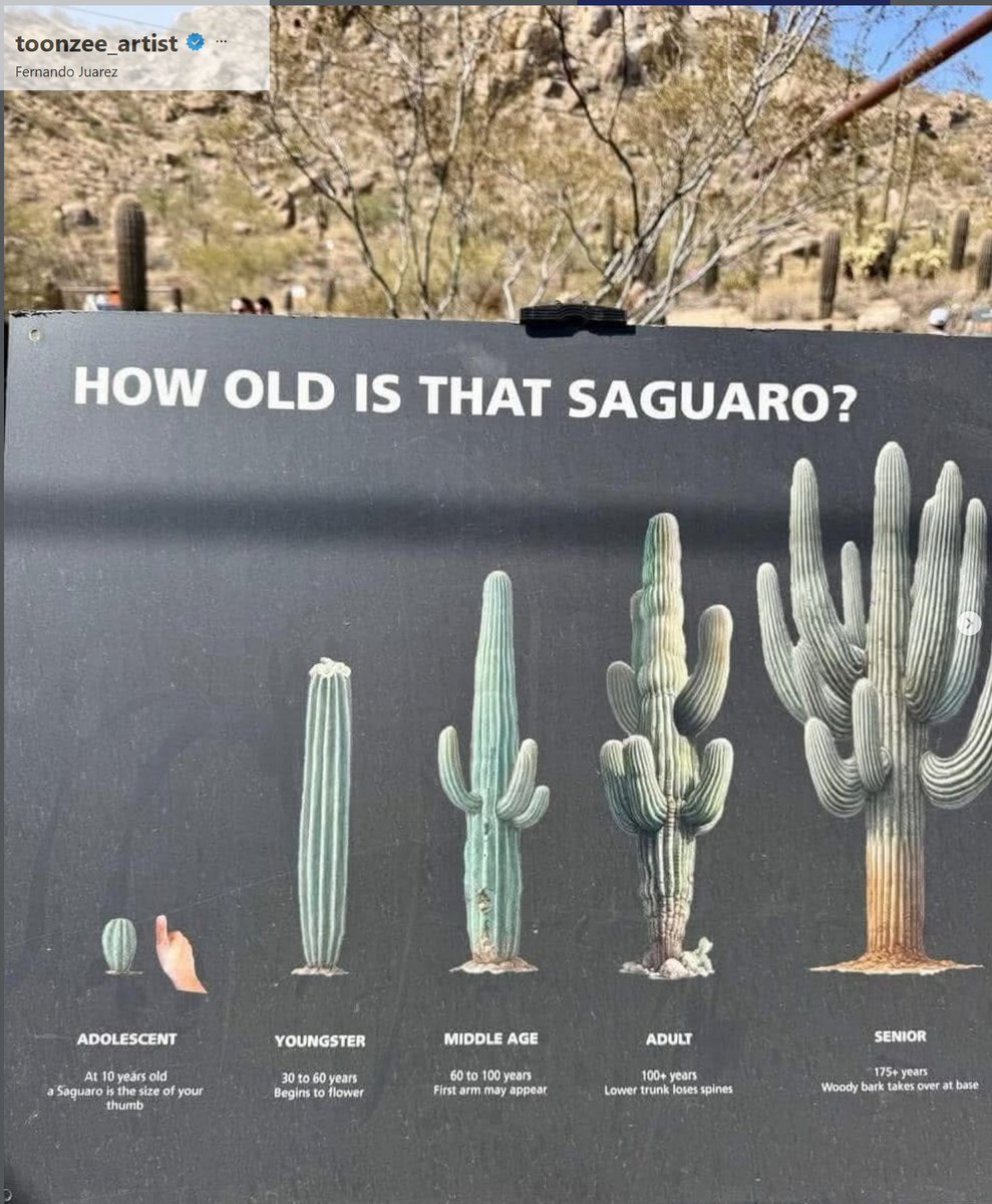 Azroofer tweet media