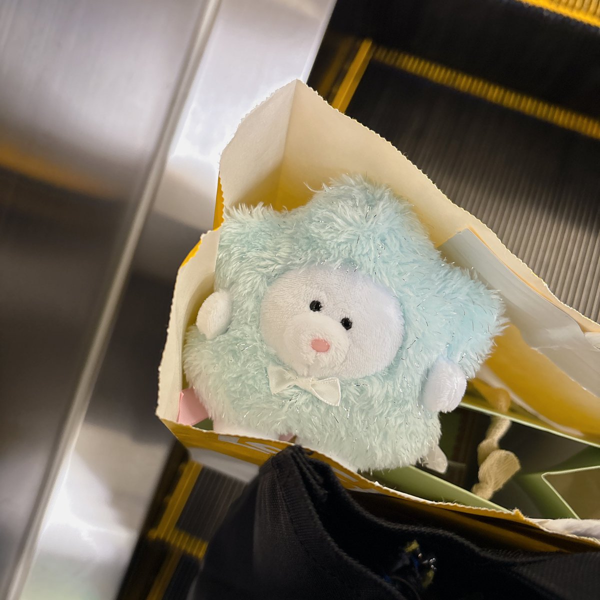 ぽむぽむ (@nuinuimimi) on Twitter photo 