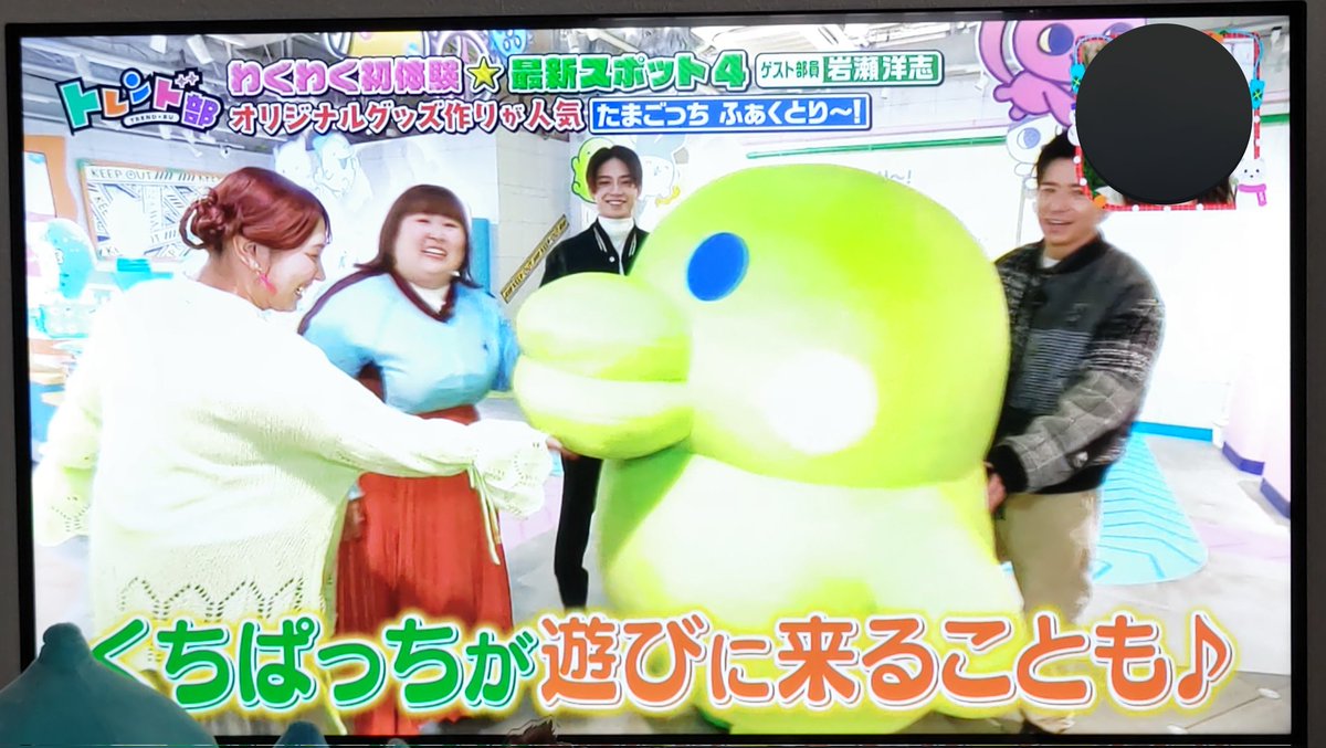 ぱっちくんかわいかった😍 #王様のブランチ #たまごっち #tamagotchi