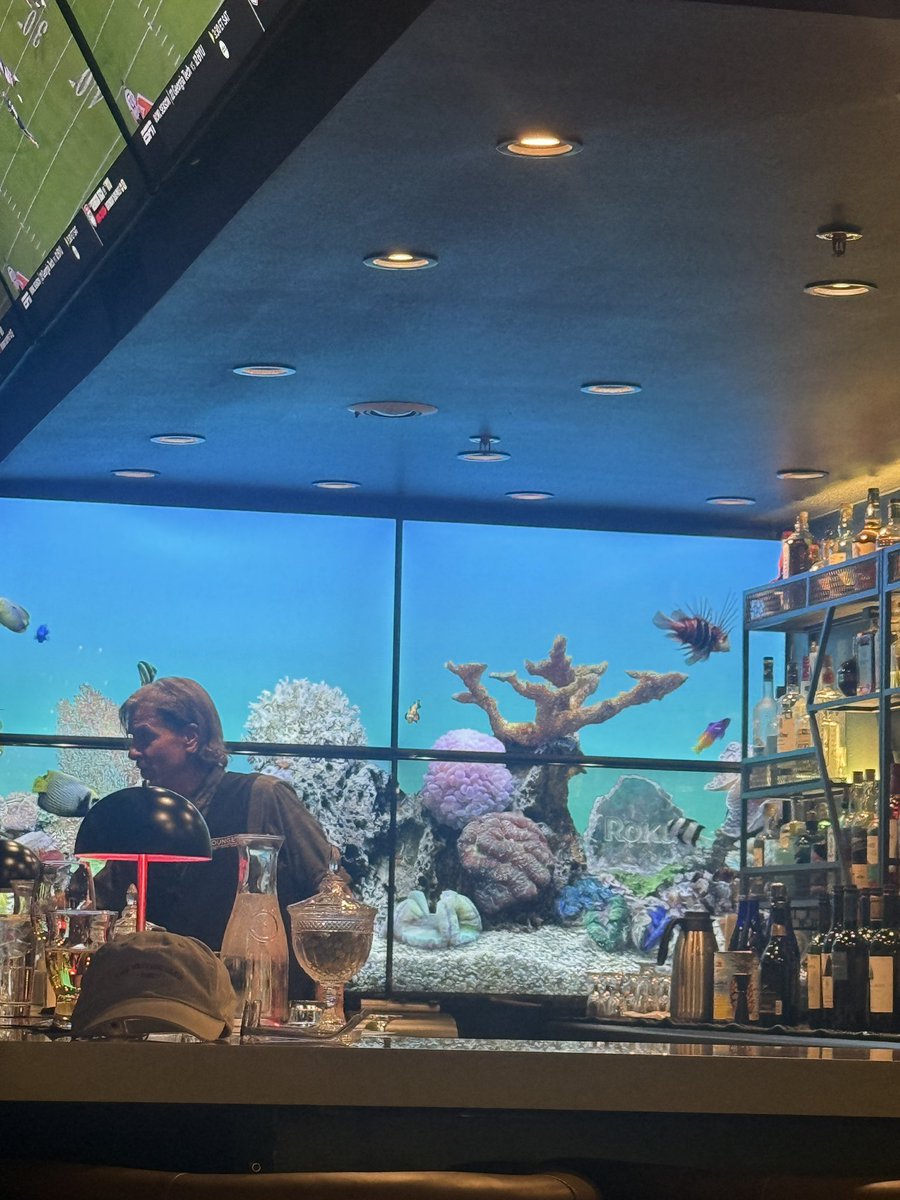 Pierce Ray 🐢 tweet media