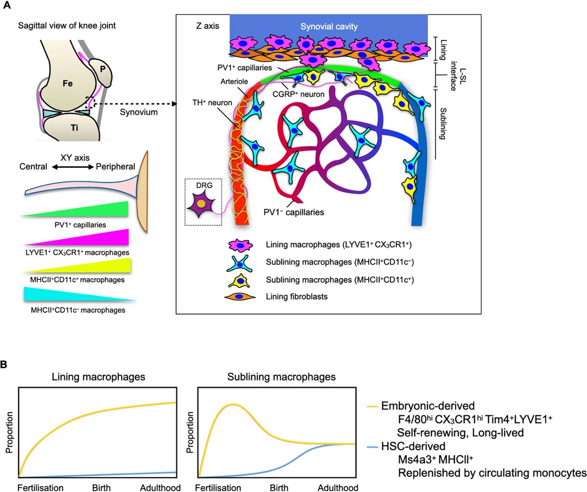 Physio Meets Science tweet media