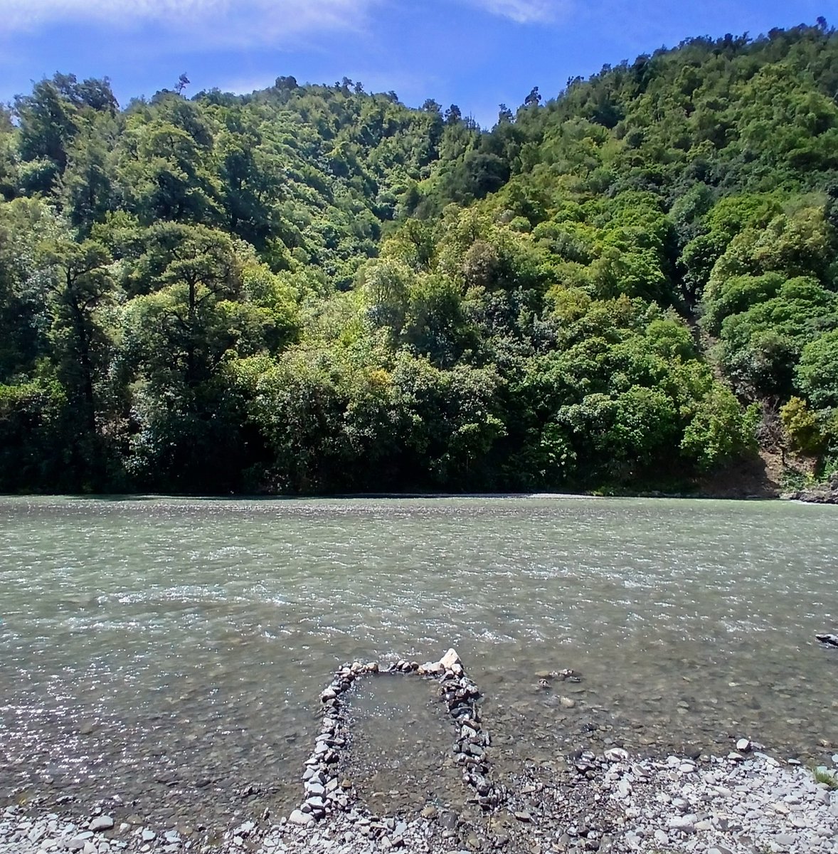 Early Aotearoa New Zealand tweet media