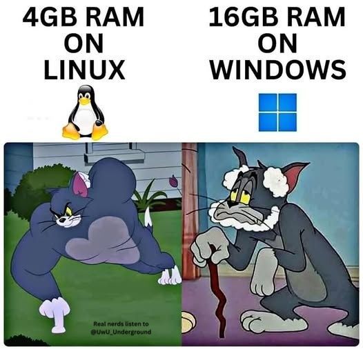 kmcnam1's tweet image. 