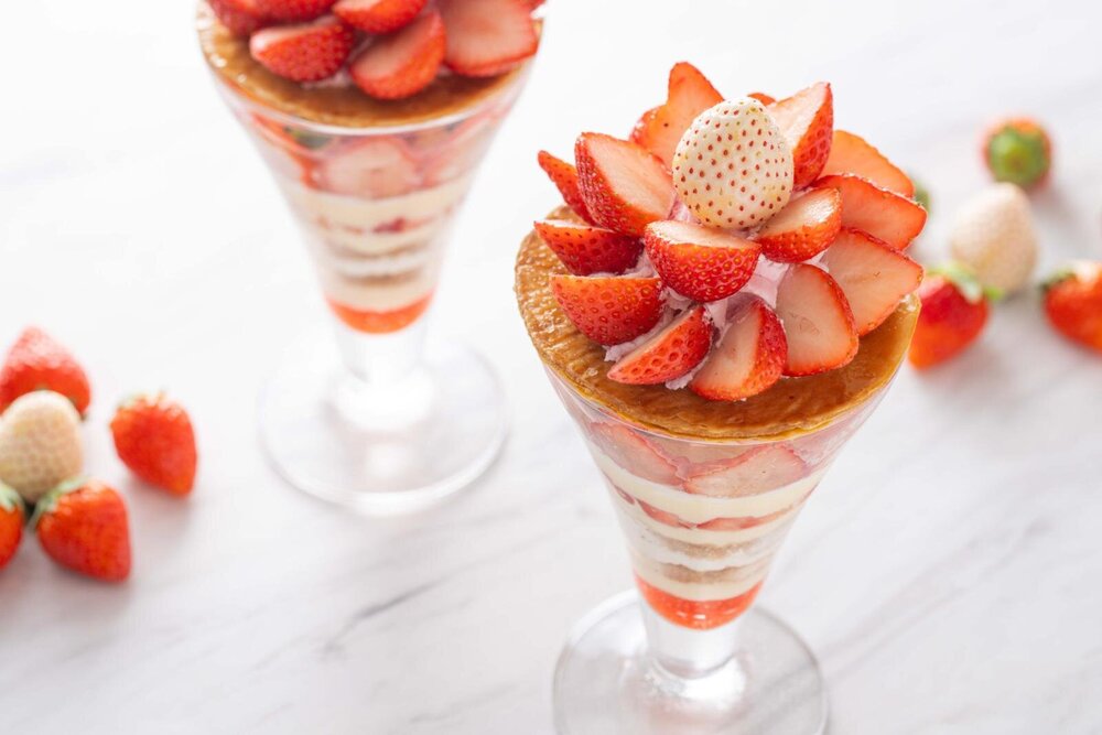 うさこ (@usatamapon0726) / Posts / X