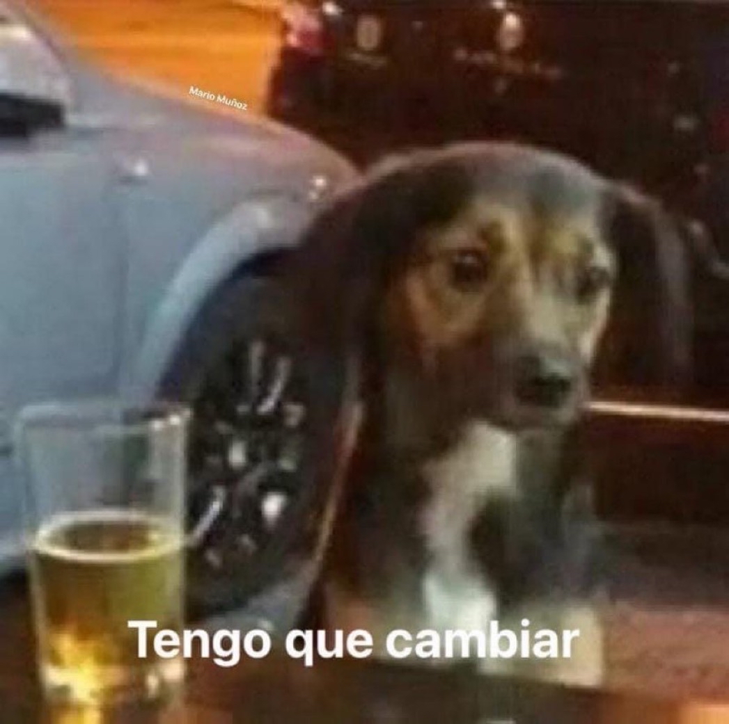 El Guarromántico tweet media