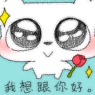 团团猫 tweet media