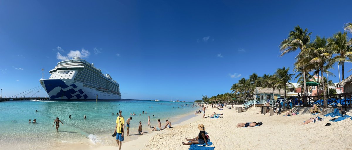 Pandy Knight tweet media