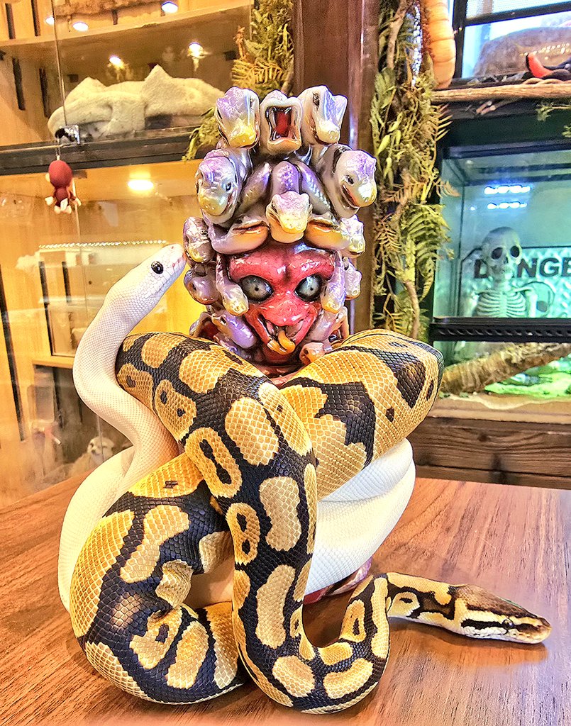 墓場の画廊さんの抽選やっと当選🎯 かっこわらい雑貨店のメデューサ