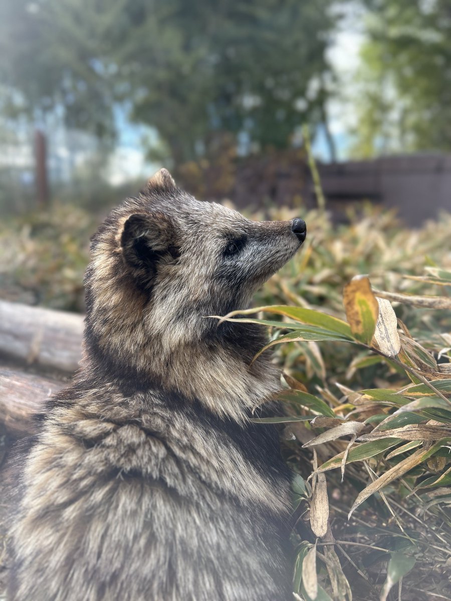 六/写真 (@roku6photo) / Posts / X