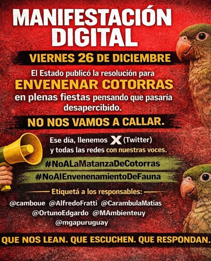#noalamatanzadecotorras
#NoAlEnvenenamientoDeFauna