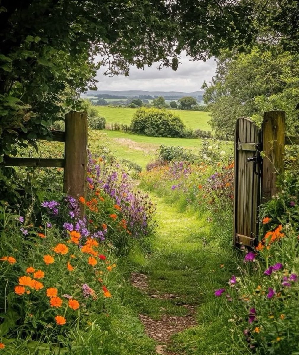 jowaher53's tweet image. صباحُ الخير للذينَ ينشرون الجمال في 
هذا العالم، للذين يصنعون أكاليلَ وردٍ 
حول قلوبِناً 🌦💕🍃 .