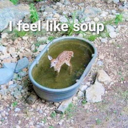 ipostdeer's tweet image. profile picture, banner, and album cover