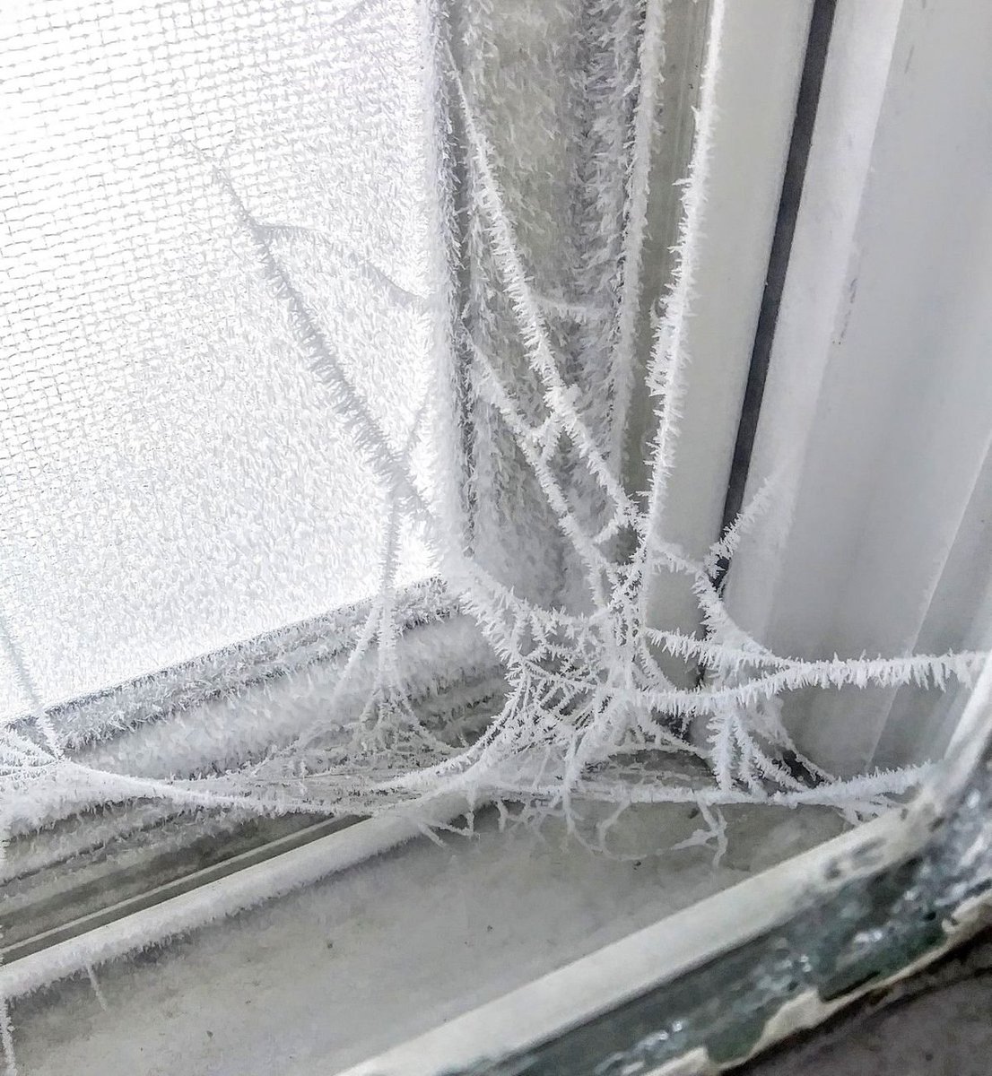 creepygrI's tweet image. #creepywinter