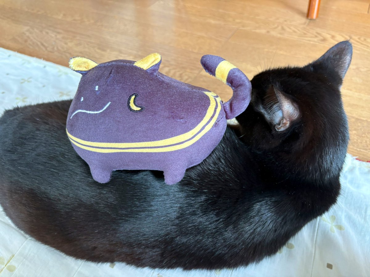 さくらもち🦐 (@sakusakura1117) / Posts / X